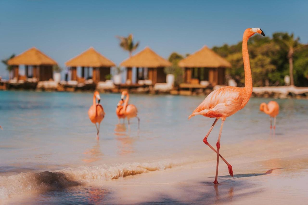 Renaissance Wind Creek Aruba Resort Oranjestad Exterior photo